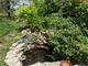 6720 W Imlay, Chicago, IL 60631