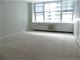 4250 N Marine Unit 1727, Chicago, IL 60613