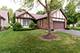 13461 Redberry, Plainfield, IL 60544