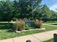 4518 Cornell, Downers Grove, IL 60515