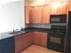 8 W Monroe Unit 1808, Chicago, IL 60603