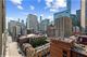 630 N State Unit 1607, Chicago, IL 60654