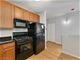 1111 S Wabash Unit 1502, Chicago, IL 60605