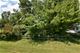 lot Leonard, Winfield, IL 60190