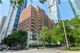 1250 S Indiana Unit 1011, Chicago, IL 60605