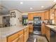 1316 Oconto, Naperville, IL 60564