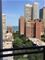 30 E Elm Unit 14B, Chicago, IL 60611