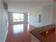 1841 S Calumet Unit 806, Chicago, IL 60616