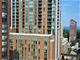 901 S Plymouth Unit 1204, Chicago, IL 60605