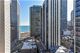 33 E Cedar Unit 18A, Chicago, IL 60611