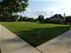 22592 Cobblestone, Frankfort, IL 60423