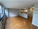 33 E Cedar Unit 15G, Chicago, IL 60611