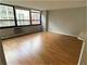 33 E Cedar Unit 15G, Chicago, IL 60611