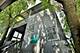 617 Madison, Oak Park, IL 60302