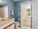 21346 Silktree, Plainfield, IL 60544