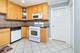 1101 Holiday Unit 12, Des Plaines, IL 60016