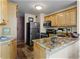 1030 N State Unit 16H, Chicago, IL 60610