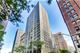 253 E Delaware Unit 14D, Chicago, IL 60611