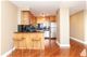 1560 N Sandburg Unit 4203, Chicago, IL 60610