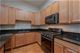 121 S Western Unit 2, Chicago, IL 60612