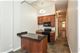 825 N California Unit C, Chicago, IL 60622