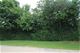 Lot 10 Shade Tree, Lakewood, IL 60014