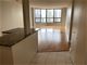 405 N Wabash Unit 3411, Chicago, IL 60611