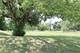 40077 N Trevino, Antioch, IL 60002