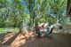 3600 Woodland, Downers Grove, IL 60515