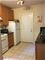 1249 W Henderson Unit 1, Chicago, IL 60657