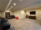 11030 Buck Horn, Orland Park, IL 60467