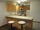 1743 W Nelson Unit G, Chicago, IL 60657