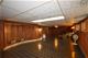 228 Woodward, Geneva, IL 60134