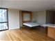 1122 N Clark Unit 1507, Chicago, IL 60610