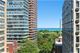 2930 N Sheridan Unit 1007, Chicago, IL 60657