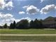 13704 Tallgrass, Orland Park, IL 60462