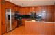 850 N Dewitt Unit 9J, Chicago, IL 60611