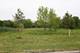 Lot 3 W Schlosser, Wadsworth, IL 60083