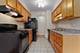 8641.5 W Foster Unit 1A, Chicago, IL 60656