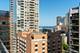 850 N Dewitt Unit 4G, Chicago, IL 60611