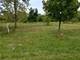 Lot 4 W Schlosser, Wadsworth, IL 60083