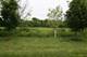 Lot 5 W Schlosser, Wadsworth, IL 60083