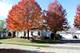 21128 W Braxton, Plainfield, IL 60544