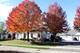 21128 W Braxton, Plainfield, IL 60544