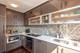 100 E Bellevue Unit 21B, Chicago, IL 60611