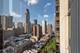 100 E Bellevue Unit 21B, Chicago, IL 60611