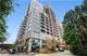 1530 S State Unit 719, Chicago, IL 60605