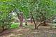 17330 S Cayuga, Lockport, IL 60441