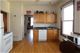 1115 W Patterson Unit 1F, Chicago, IL 60613