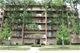 1380 Oakwood Unit 302, Des Plaines, IL 60016